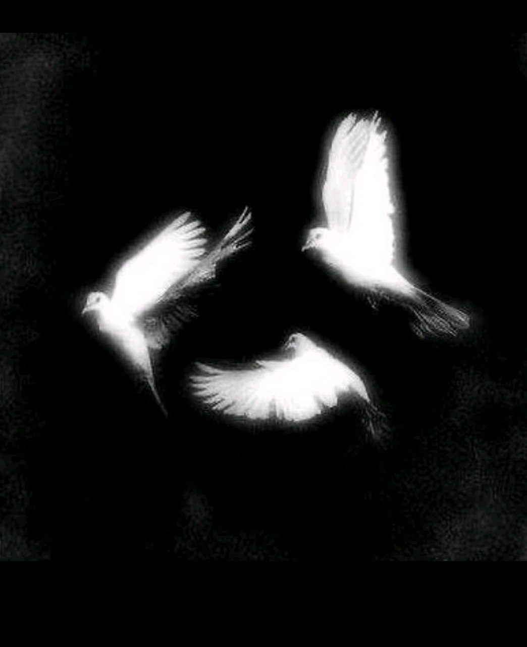 EQUINOX profile image
